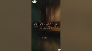 سورة الإسراء القارئ#ياسر_الدوسري @sonicislamic7 @islam_sobhi #فلسطين#المغرب