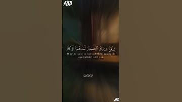 سورة الإسراء القارئ#ياسر_الدوسري @sonicislamic7 @islam_sobhi #فلسطين#المغرب