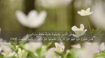 القرآن الكريم | سورة البقرة | من الأية ١٨٣ الى الأية ١٨٥ | بصوت القارئ الشيخ هيثم الدخين