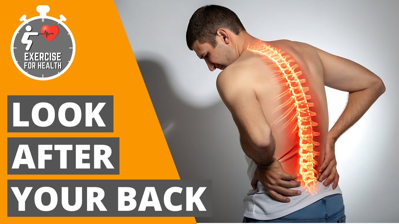 4 effective exercises to REDUCE low back pain - YouTube