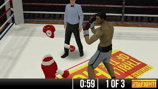 New: MMA Boxing!!! (E N T E R T A I N - M i N T S  2 . . .  Mango-Grape Melon!)