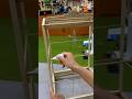 Pengeleman sabuk sangkar burung #shorts #shortvideo #sangkarburung #birds #kicaumania