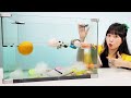 [유라의 과학시간] 뜨거나 가라앉거나!!! Sink or Float!