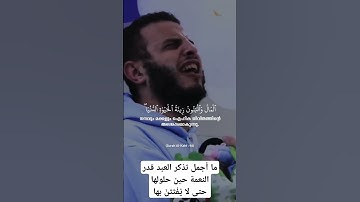 المال والبنون زينة الحياة الدنيا - القارئ عبدالله مصطفى - خشوع يقشعر له بدنك 🤍💛