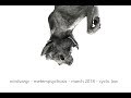 Nordvargr - Metempsychosis (Cyclic Law 108th cycle)