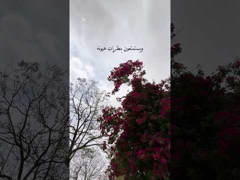 يا كبر حظ الي يشوفونه ويستمتعون بظرات عيونه بدون موسيقى