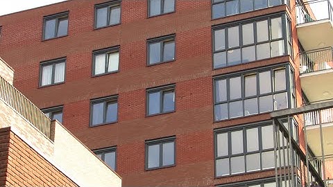 Invliegende Gierzwaluw Plein 1944