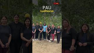 Miyawaki Forest at PAU Ludhiana 🌱 | Green Initiative & Sustainability