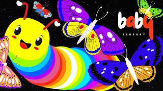 Colorful Dance Party: Caterpillar, Pretty Butterflies🦋 Sensory High Contrast Animation