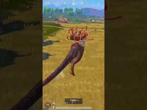 T- Rex is Back 🔥
