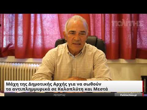 Μάχη της Δημοτικής