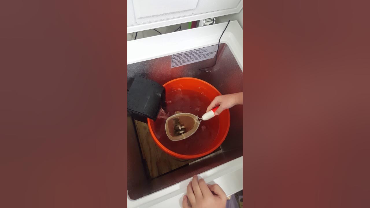 Minnows best new way to keep minnows alive using a chest cooler YouTube
