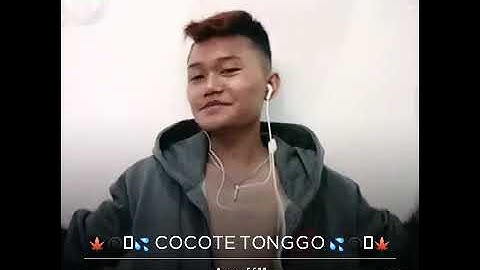 COCOTE TONGGO wawan sudjono COVER Asrofi11