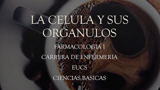 La Célula y sus orgánulos EUCS UNAHVS