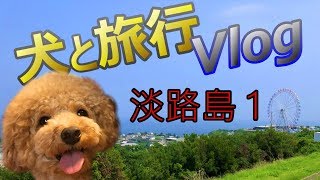 淡路島 犬と1泊旅行動画 Vlog 1日目 トイプードル