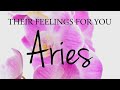 Aries love tarot  someone is going to confess the truth to you aries  you should listen to this