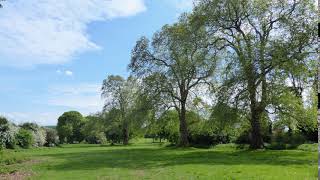 Foots Cray Meadows | Wikipedia audio article