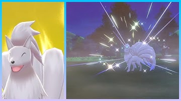 LIVE! Shiny Ninetales after 5,119 Random Encounters! (Pokemon Sword)