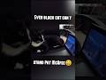 Black Cat watches WWE Smackdown...does not like Pat McAfee 😄💬😺