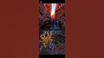 آيات من القران الكريم #اكسبلور #المصحف #لايك #الرحمن #راحة_نفسيةلايك #راحة_نفسية