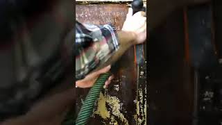 Removing paint from a 1920’s walnut dresser.