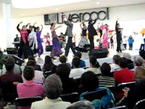 Flamenco Pirotecnia Paseo Durango -Lucero Hernndez