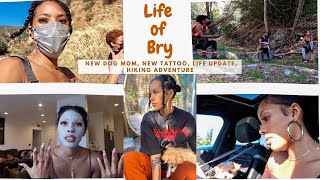 Life Of Bry | New Dog Mom, New Tattoo, Life Update, Hiking Adventure | LovelyBryana