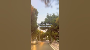 Dosttan Öğrenir insan #shorts #youtubeshorts #viral #viralvideo #dost #video #short  #motivasyon