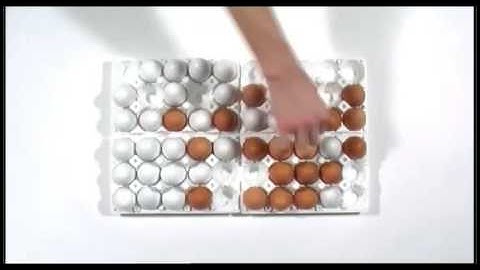 The Logic of Life: Racial segregation