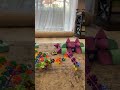 Данила Собирает Интересные Фигуры, Магнитные Блоки И Кольца, Daniel Playing With Magnet Blocks