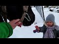 В Карпатах випав сніг❄️Пораюсь по господарству 🤠🐎мій дім мої коні🏡