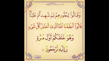 سورة فصلت الآية ( 21 )