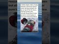 In 2024, Alaska, USA, a Husky refused to leave his injured owner during a blizzard