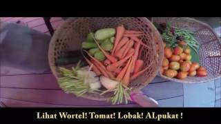DownloadSunday Market with Sophie Navita MP3 MP4 Sunday Market with Sophie Navita
