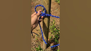 Tips And Trick Bowline Knot💯#knots #knottying #howtoknot #ropework #usefulknots #diytutorial #shorts