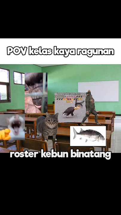 Ranking Peraturan Sekolah 😹😹