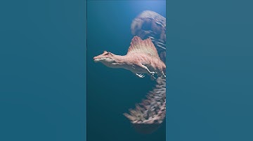 Dinosaur Eat Dinosaur | Nothosaurus Vs Spinosaurus