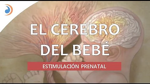 ¿Cómo puedo mejorar el cerebro de mi bebé durante el embarazo?