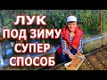 Супер способ посадки лука под зиму 🌿🌿🌿 Самая полная информация о посадке лука севка осенью.