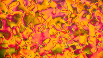 Phase transition from nematic to isotropic state