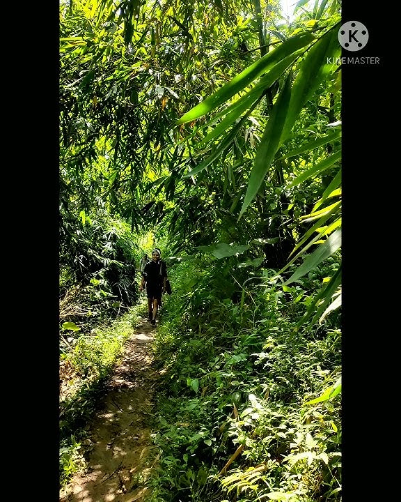 story wa 30 detik | BERSAMA, kini datar | musikalisasi puisi