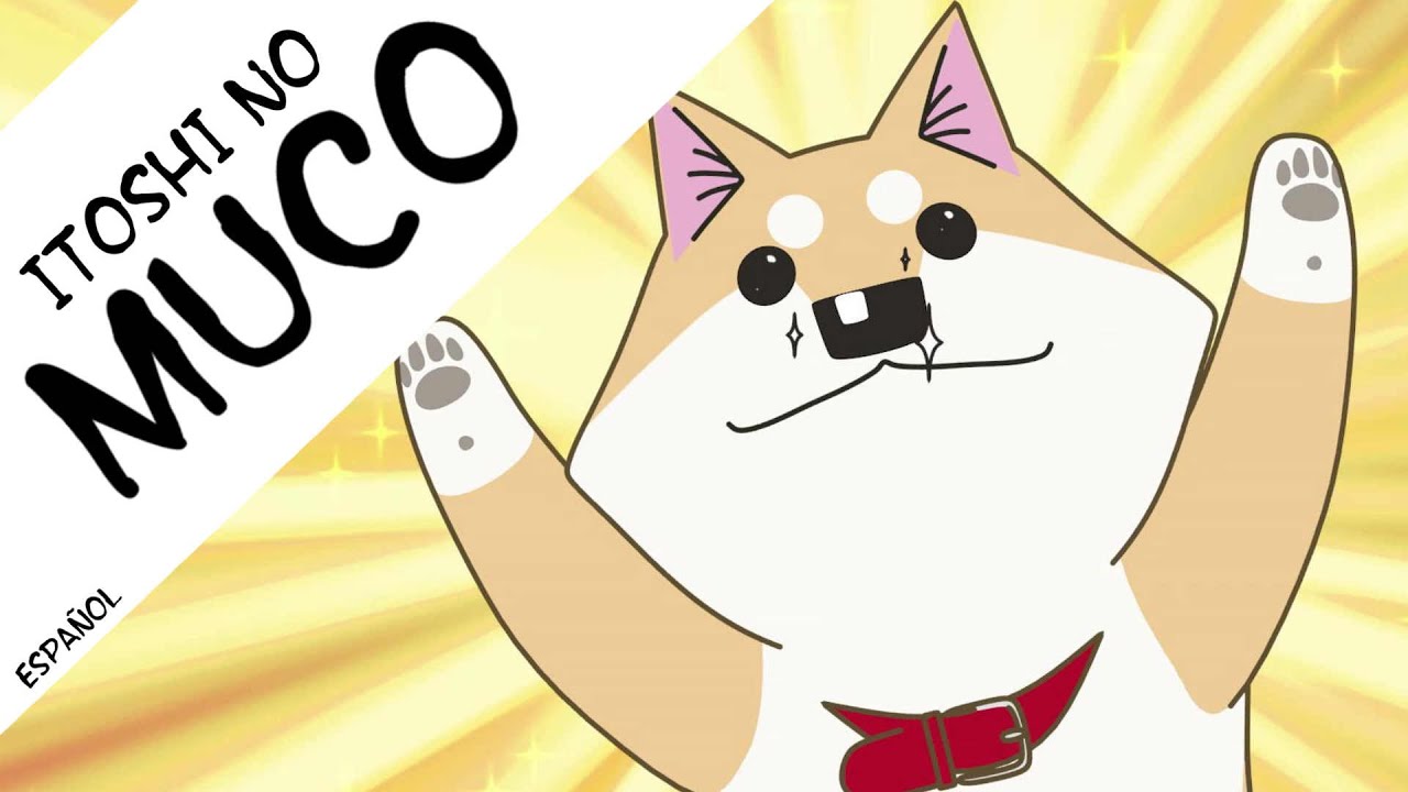 Get Itoshi No Muco Capitulo 1 Clip Fandub Espanol Youtube For iPhone Free Get Wallpaper Itoshi No Muco Capitulo 1 Clip Fandub Espanol Youtube Desktop Wallpaper