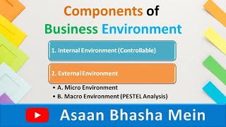 Celebrity Components | Types | Elements of Business Environment in Hindi | Internal | External with PPT Wealth
