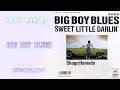 19th Single「BIG BOY BLUES SWEET / LITTLE DARLIN&#39;」浜田省吾 1985年12月8日 Release TBS系のドラマ主題歌