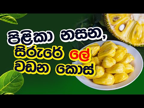 පිළිකා නසන, සිරුරේ ලේ වඩන කොස් | Siyatha 24