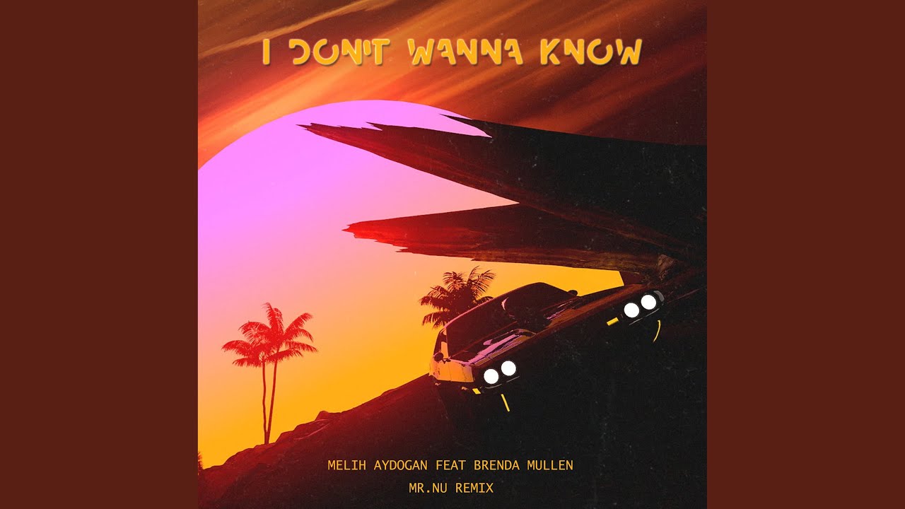 I Don't Wanna Know (feat. Brenda Mullen) (Mr. Nu Remix) - YouTube