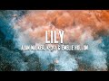 Alan Walker, K-391 &amp; Emelie Hollow - Lily (Lyrics)