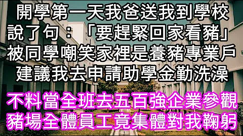 開學第一天我爸送我到學校說了句：「要趕緊回家看豬」被同學嘲笑建議我去申請助學金勤洗澡 不料當全班參觀豬場全體員工竟對我鞠躬#心書時光 #為人處事 #生活經驗 #情感故事 #唯美頻道 #爽文 - 天天要聞
