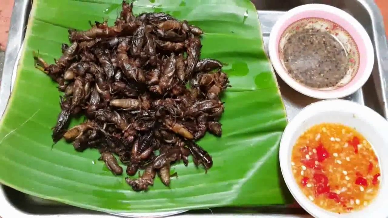 Asian At Home, Deep Fried Insects, Popular Food In My Village YouTube