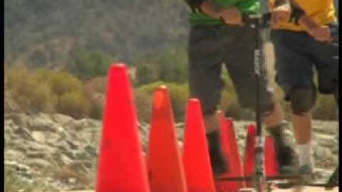 Razor Powerwing Scooter